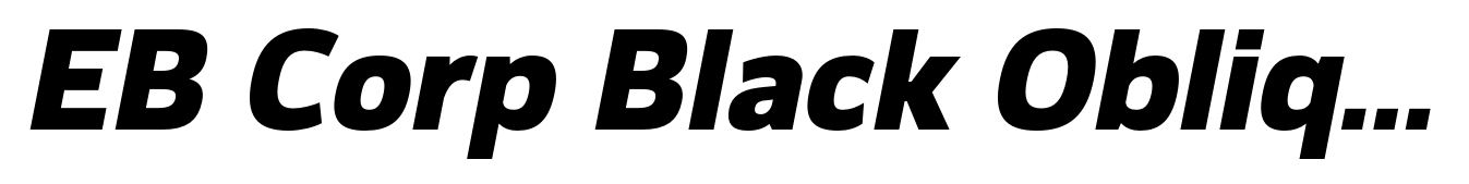 EB Corp Black Oblique